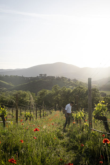 10 off an Umbrian Spring Website Carosello 04