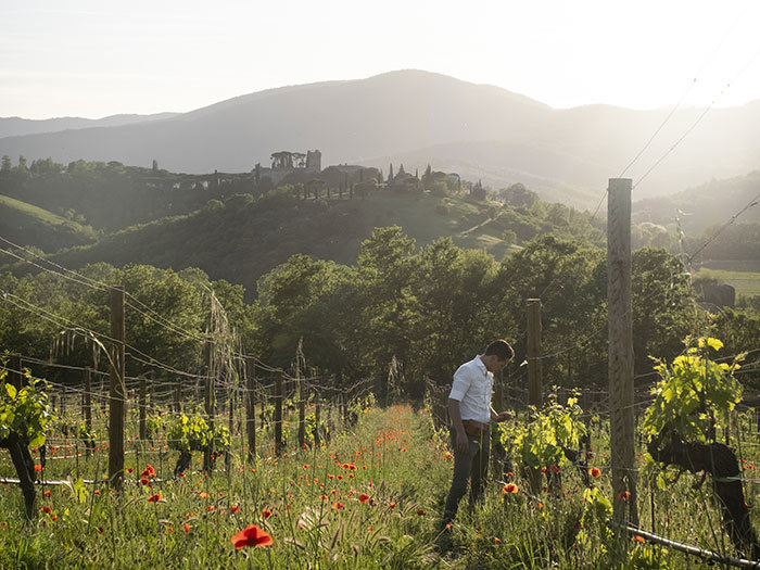 10 off an Umbrian Spring Website Preview