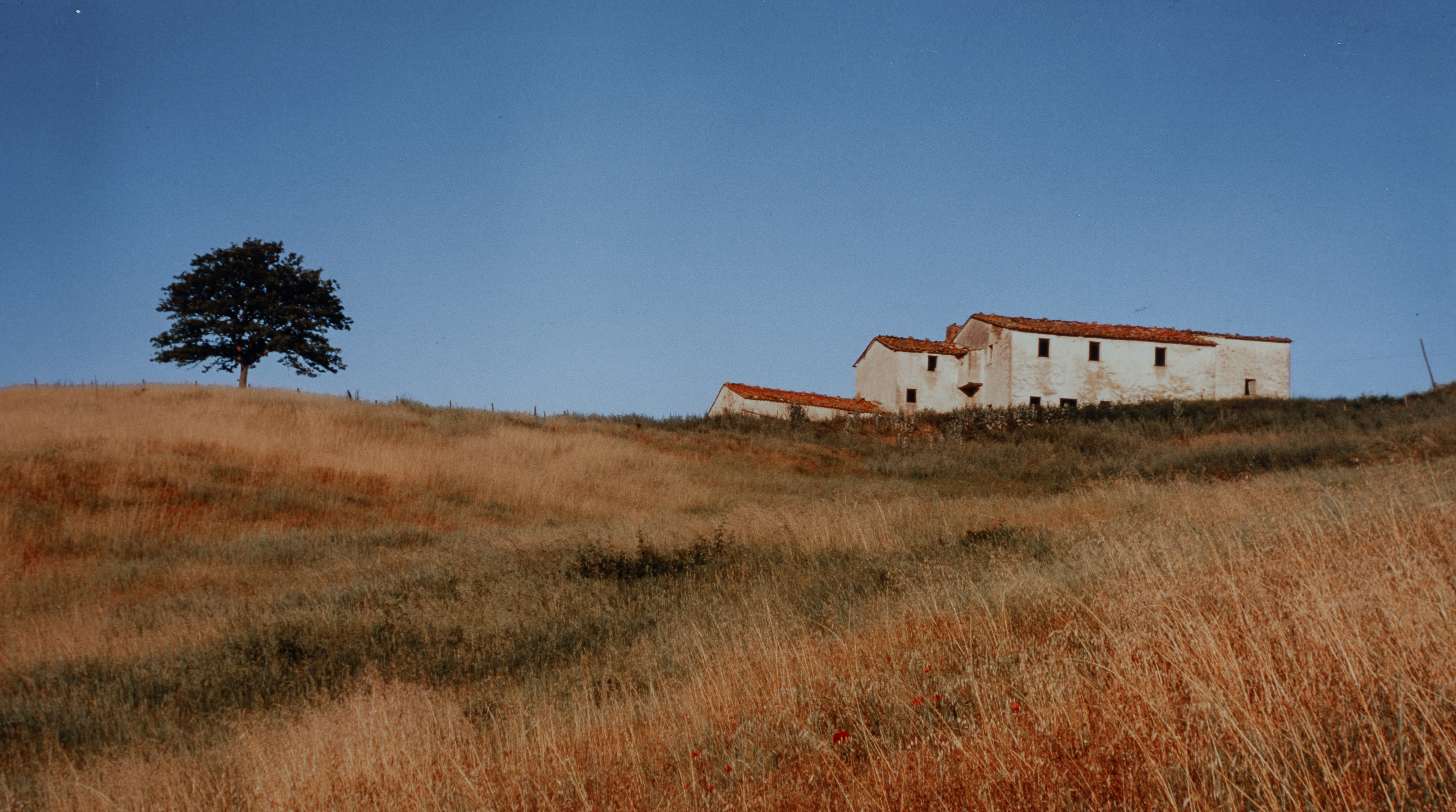 color photo