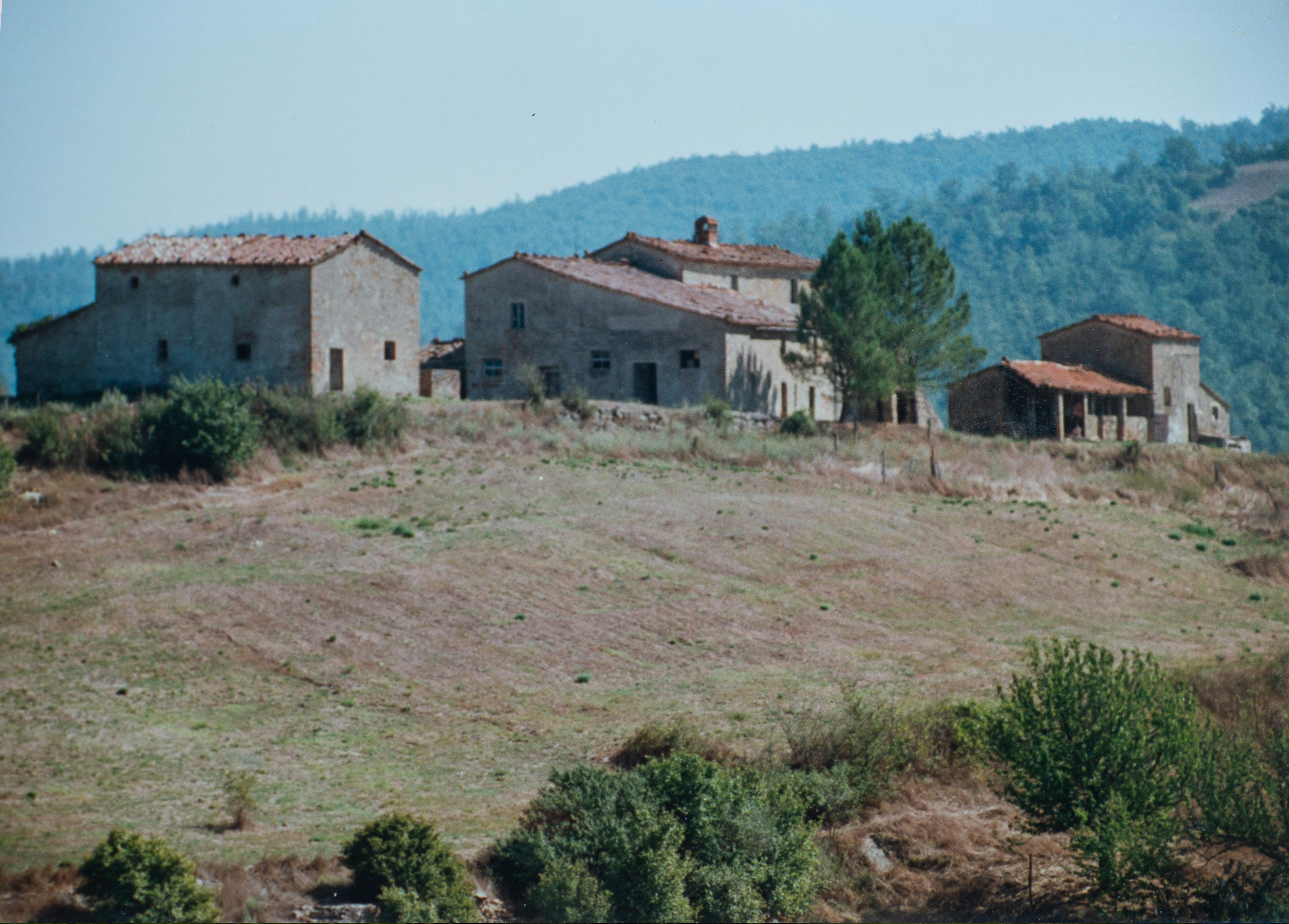 color photo