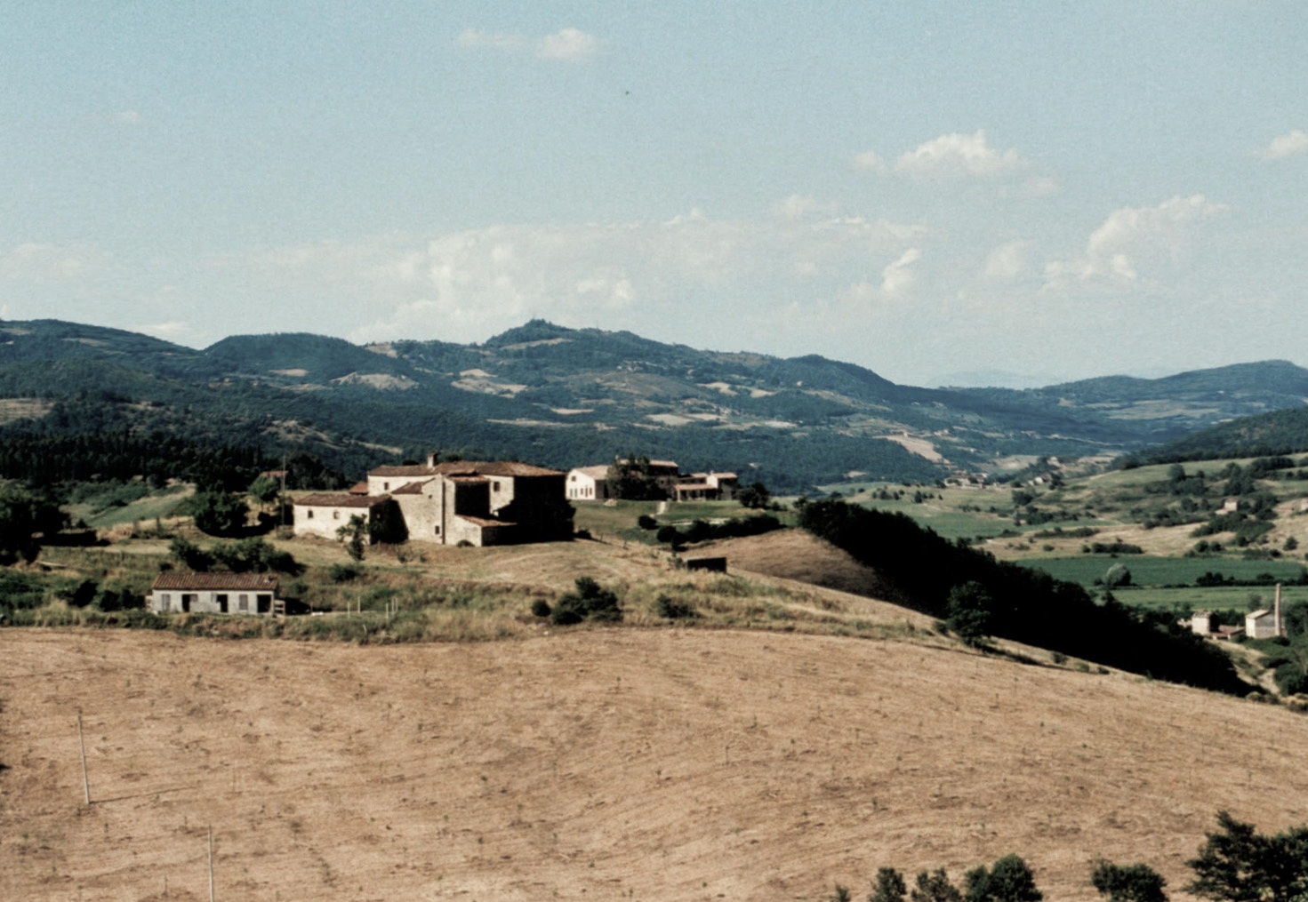 color photo