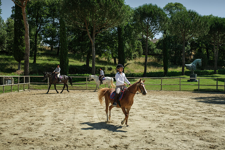 Cavalos Loiros Sorrir Prado Siusi Alpes Trentino Alto Adige Itália