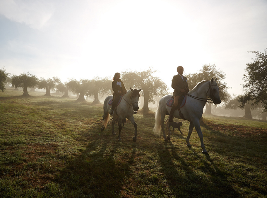 Preview horses