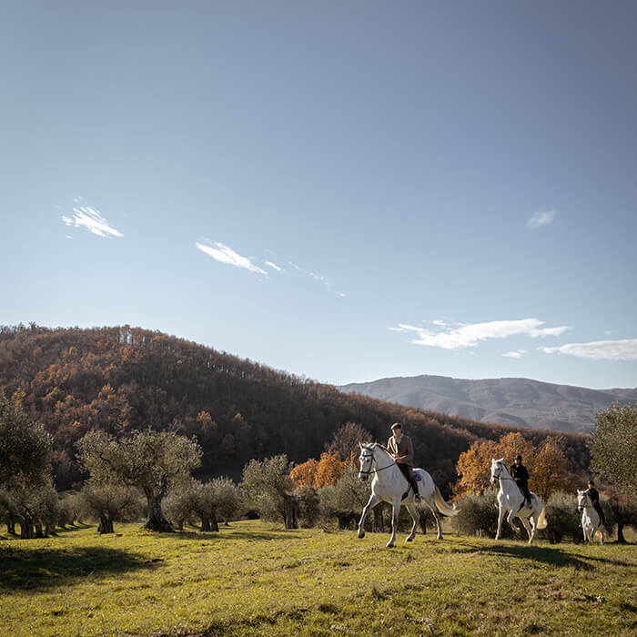 Riding at reschio 2023 horizontal 3