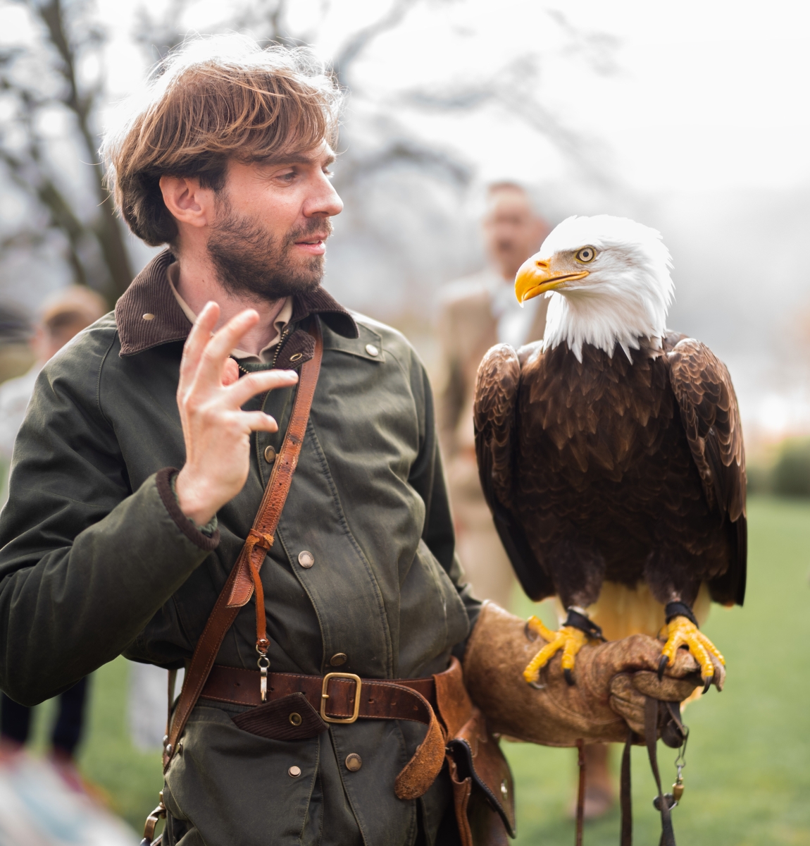 00 landing falconry desktop