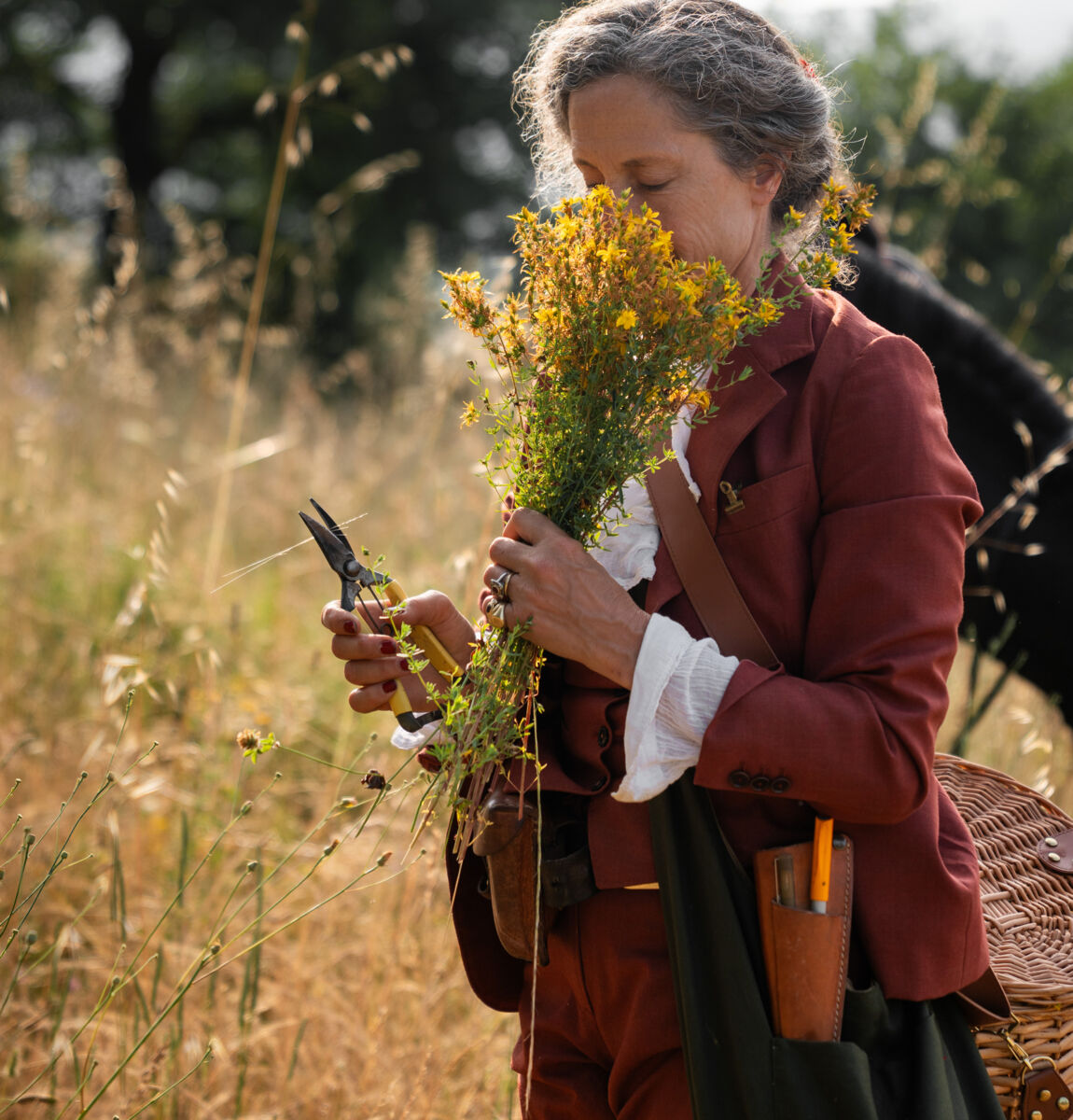 00 foraging landing desktop