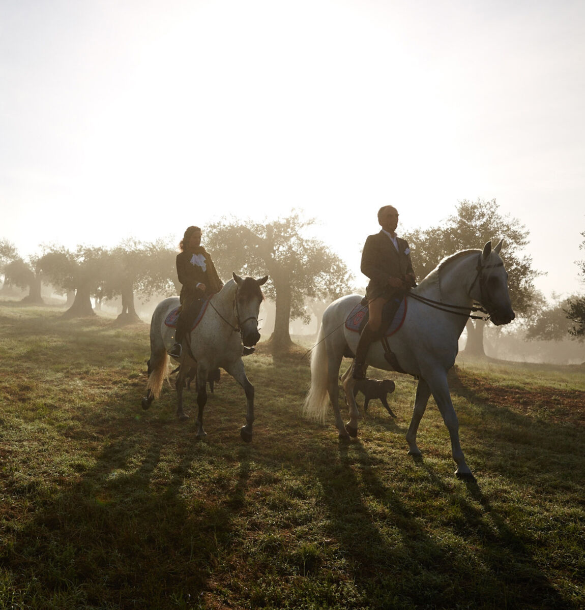 Img equestrian escape desktop