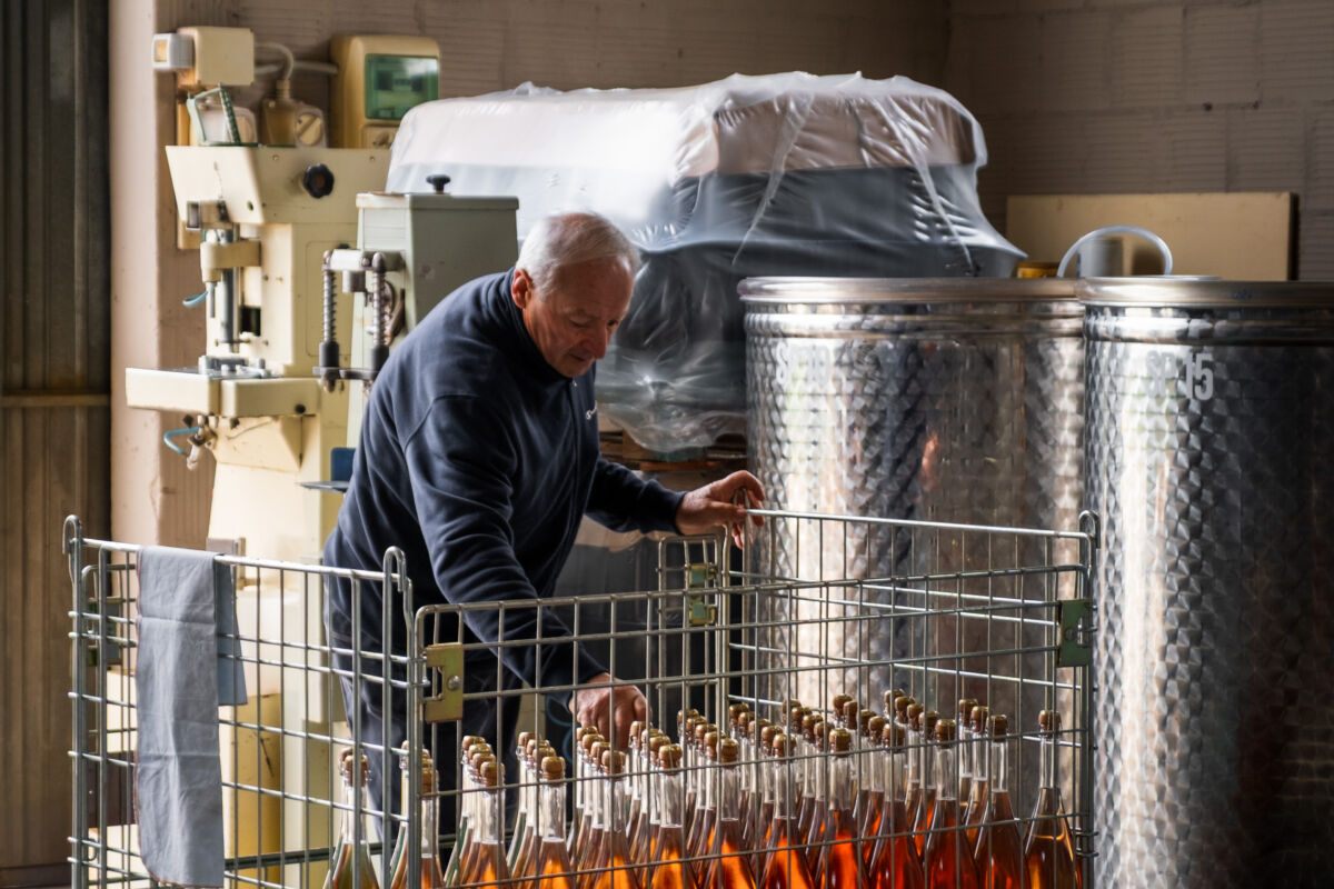 DSCF4653 2025 07 04 092944 sxmk