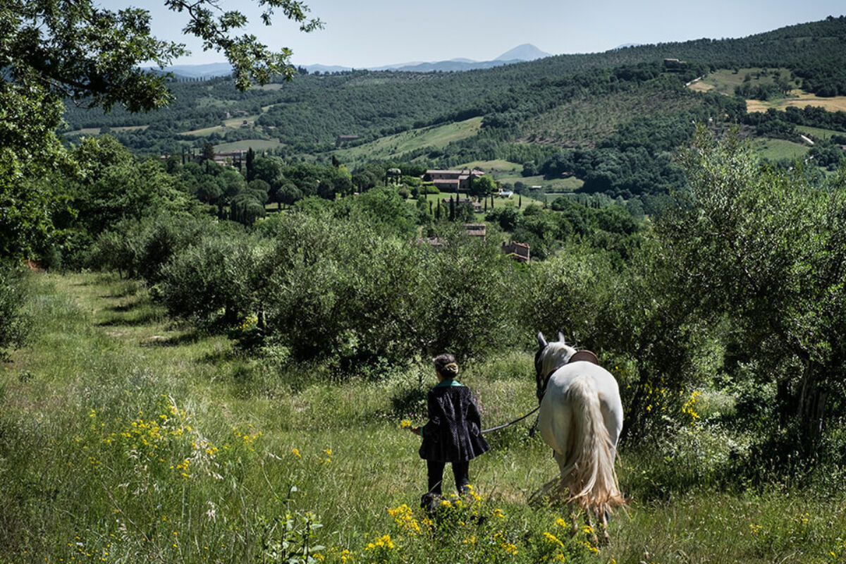 Magazine foraging single