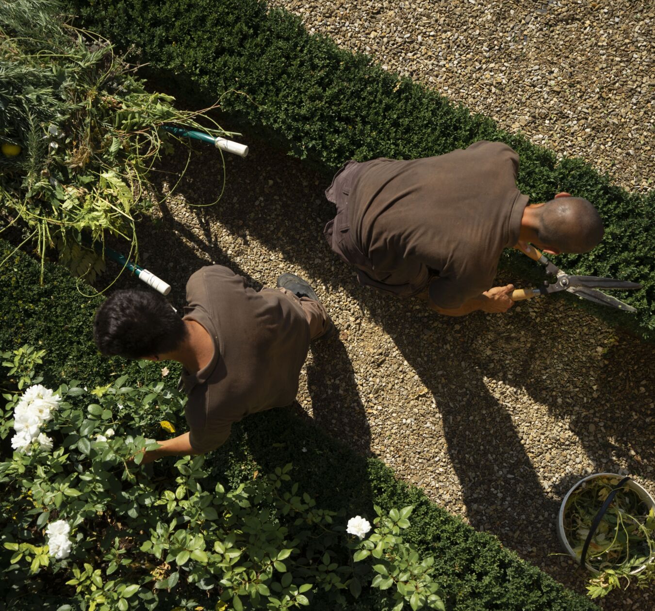 04 image text big double media arch desktop