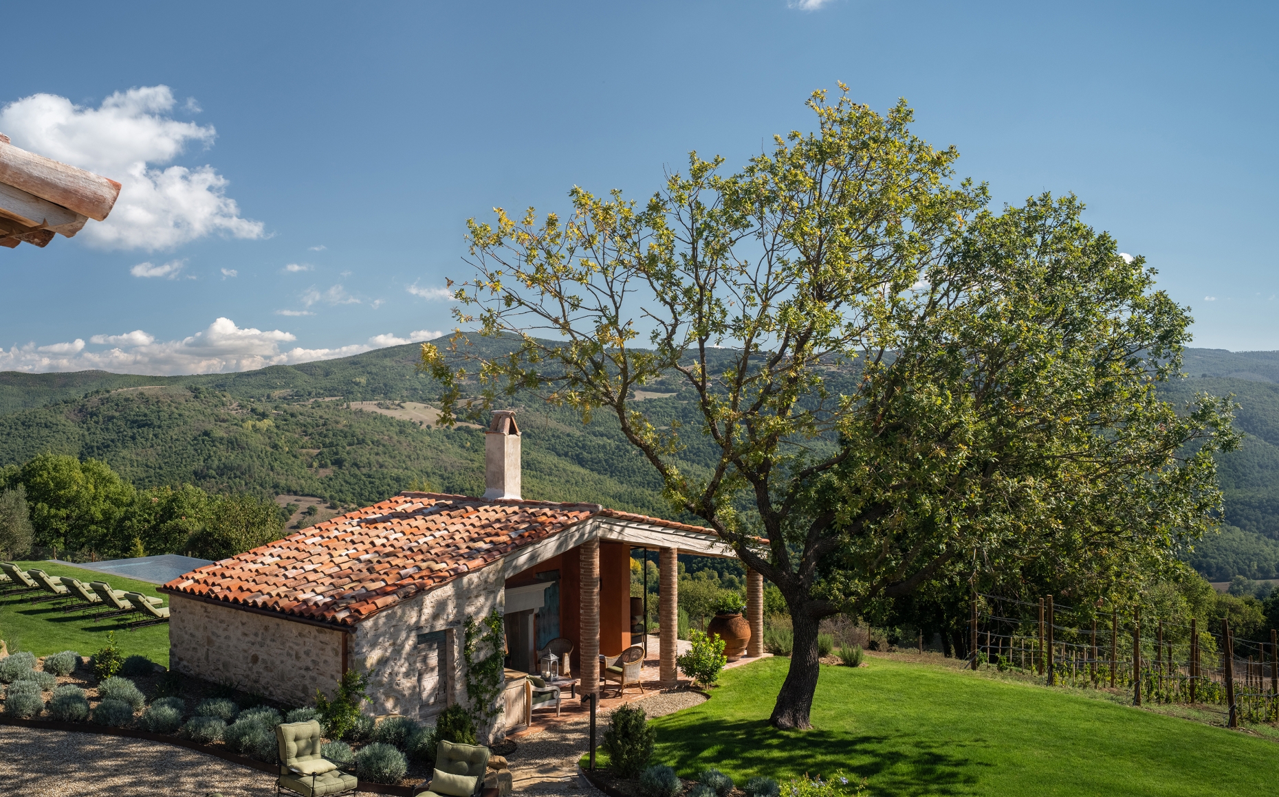 01 image text overlay 1 cercoschene desktop