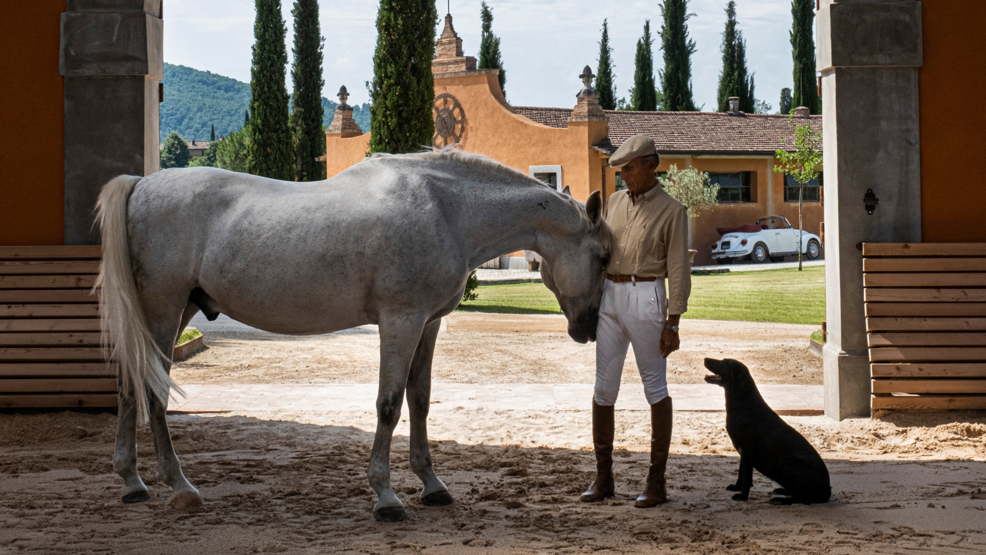 04 image media full horses desktop