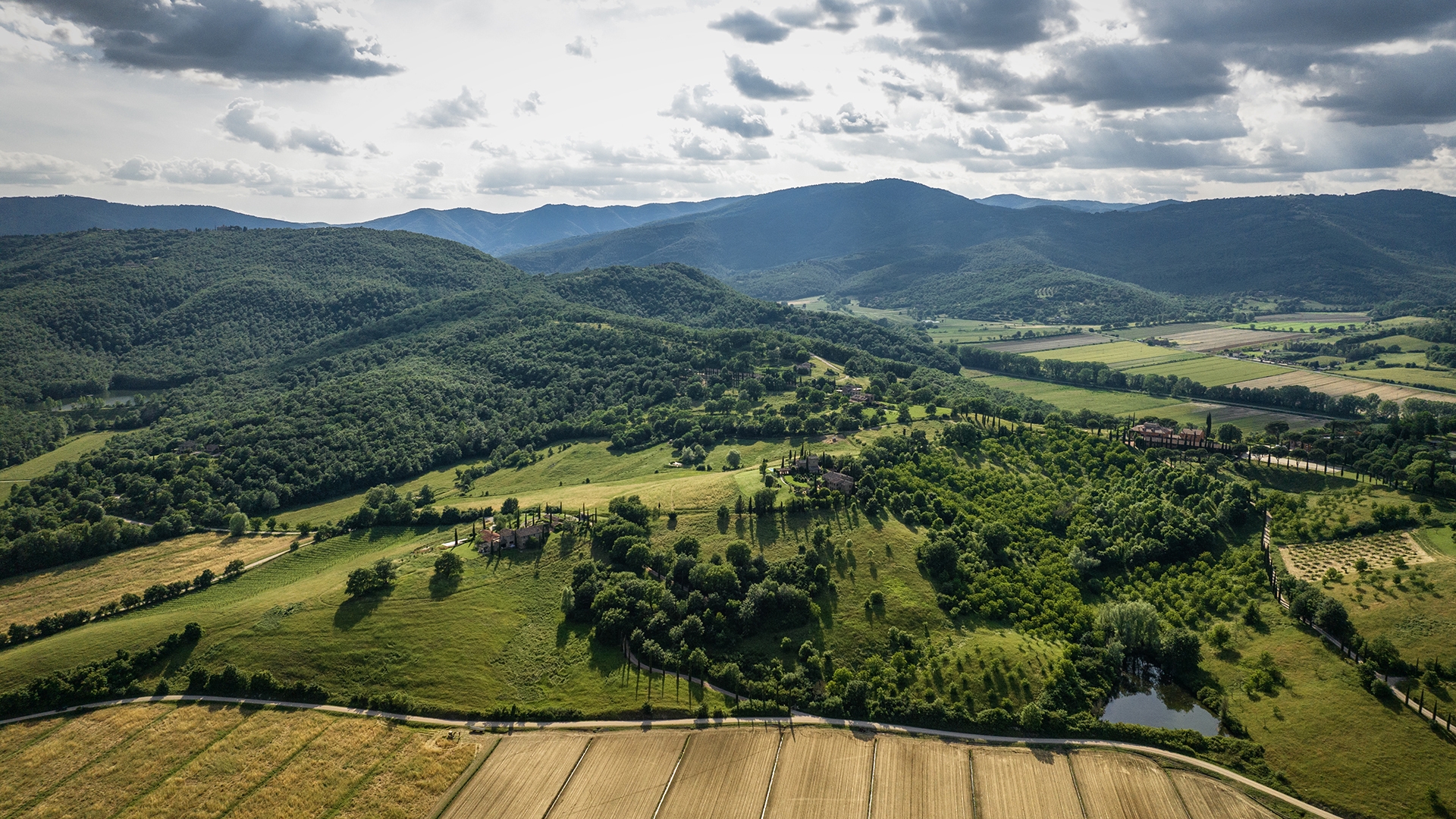 Copertina 1920 x 1080 px TWL giugno 2024 2024 05 31 145320 xmsz