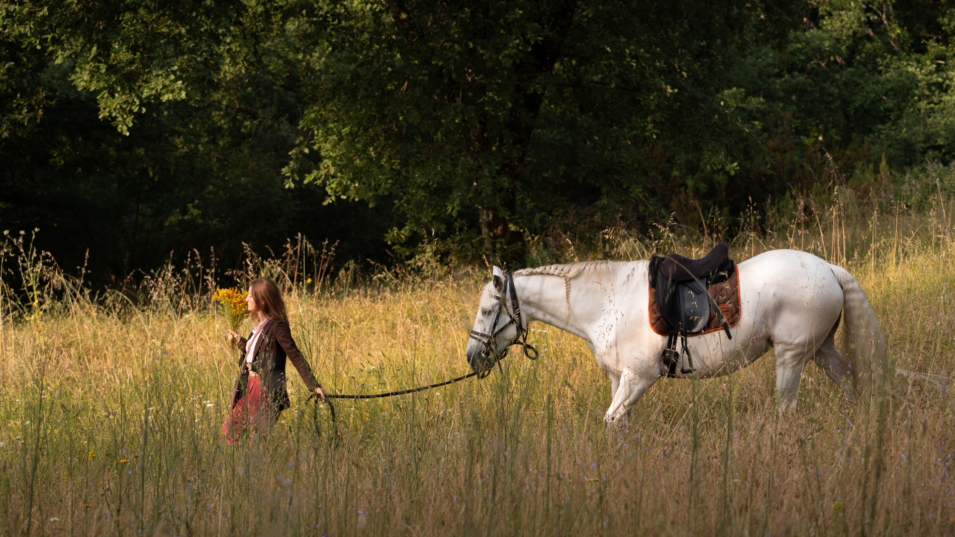Cover video autunno desktop