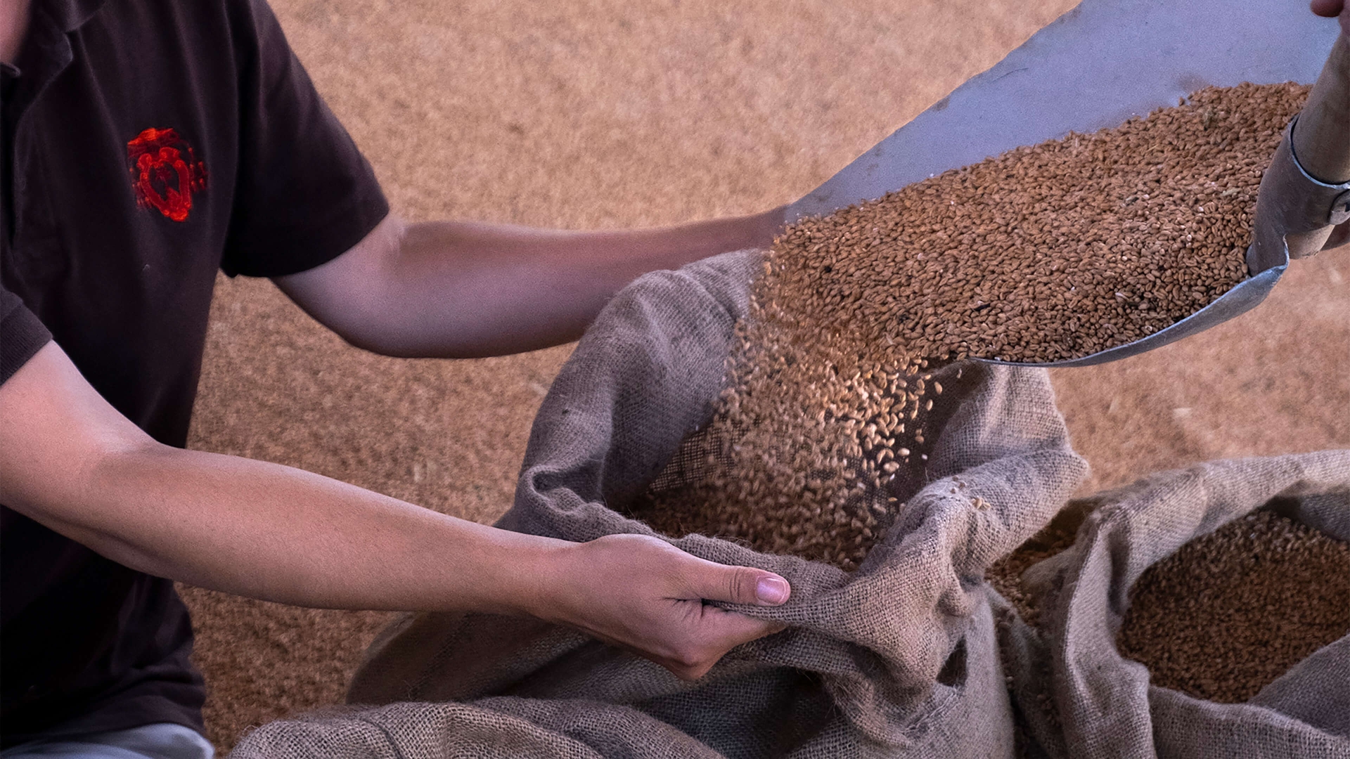 Landing september 2021 x2