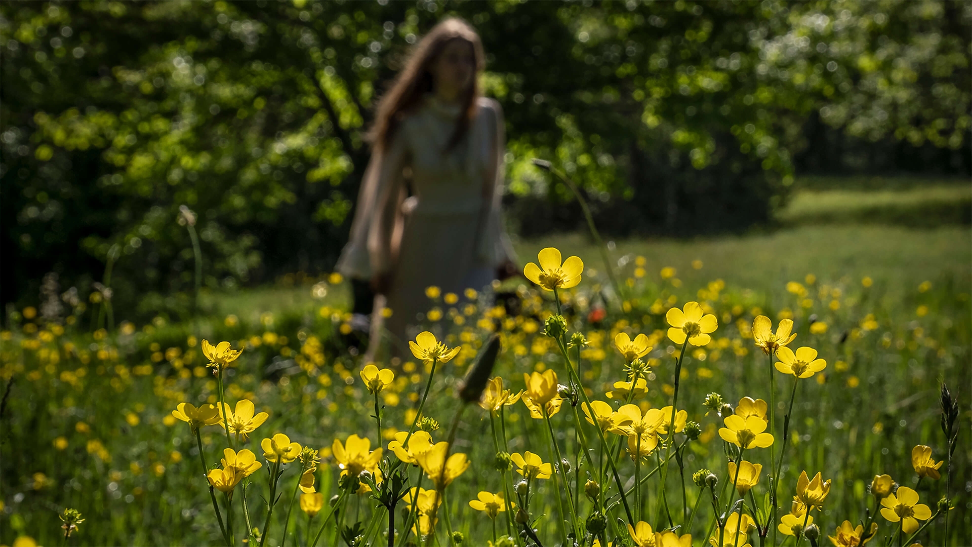 Twl may 2023 landing x2 2023 05 02 102523 zgow