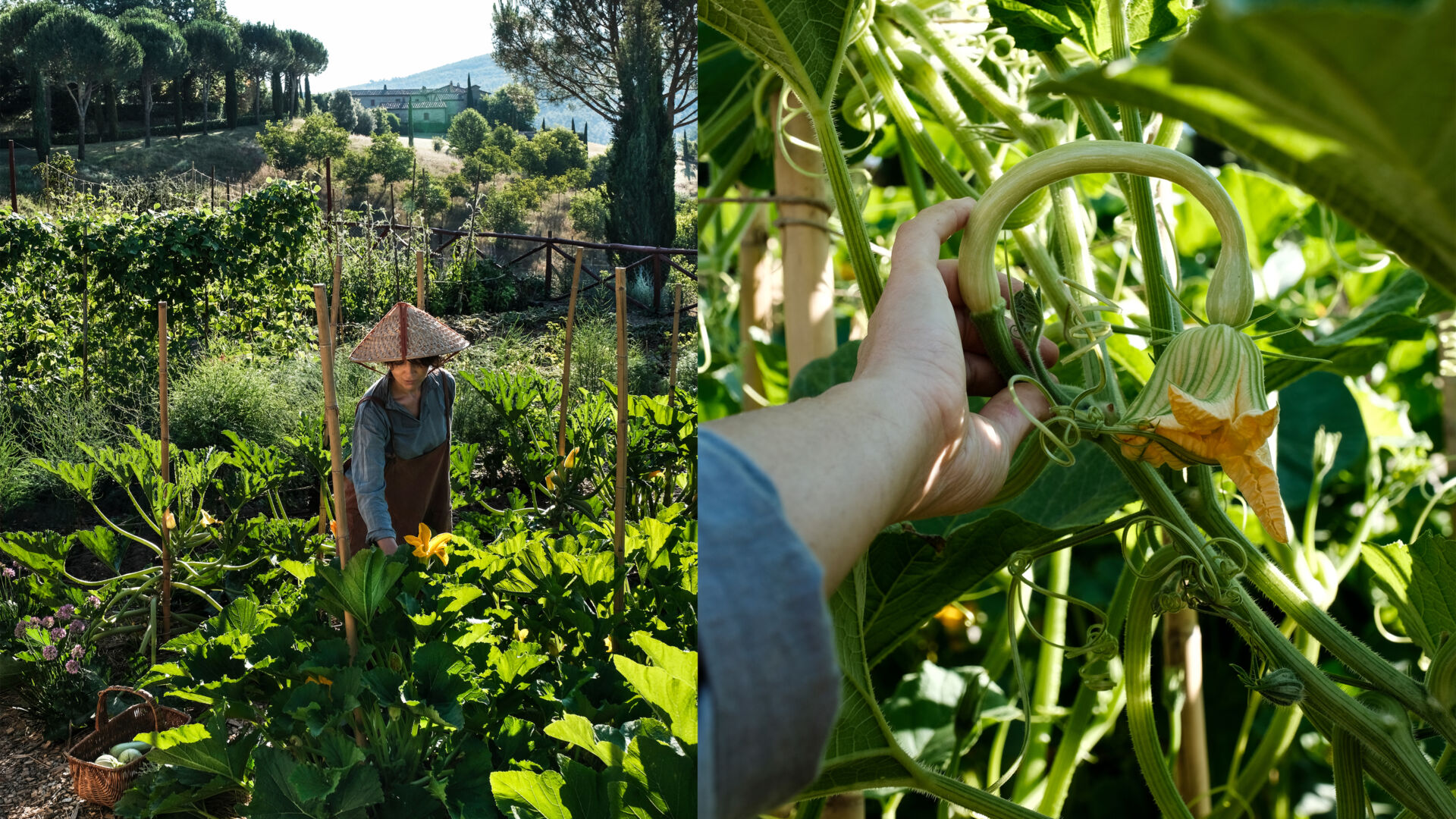 August 2020 landing x2