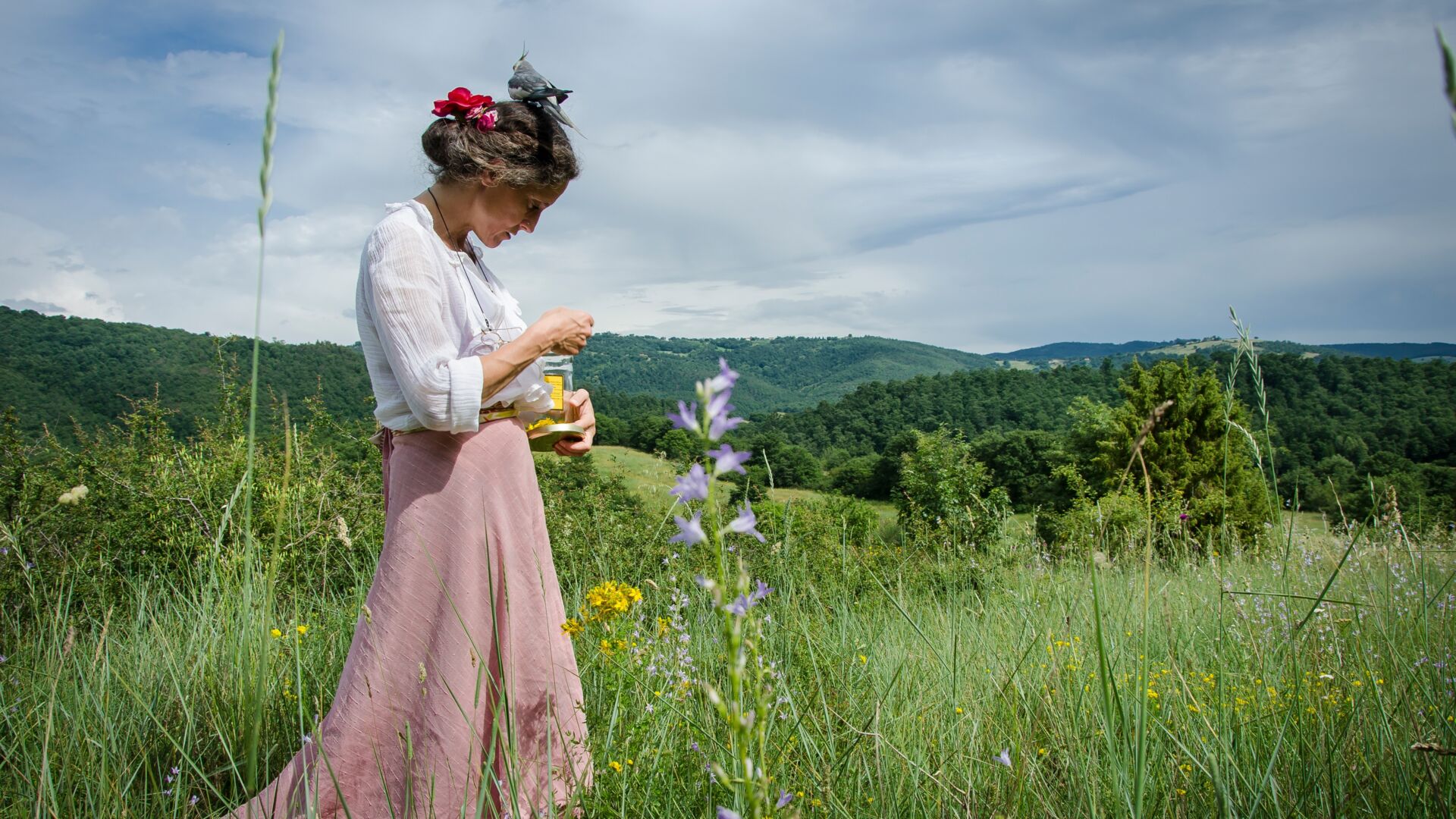 Cover video primavera desktop