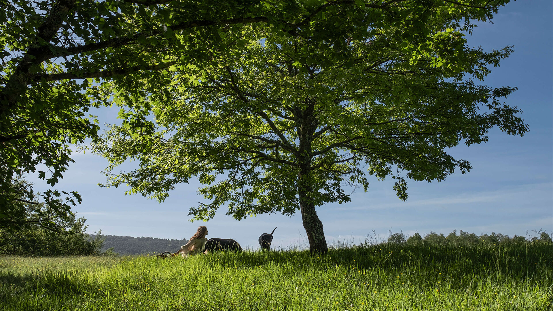 June 2021 cover x2 210531 073426