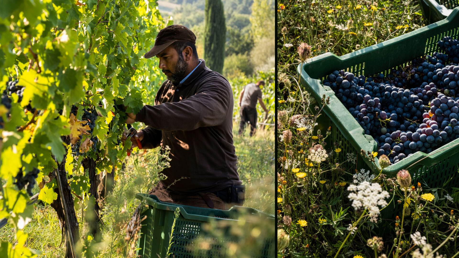 October 2020 landing x2