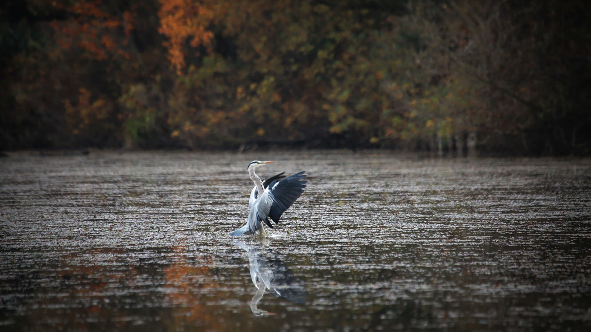 October 2022 landing x2