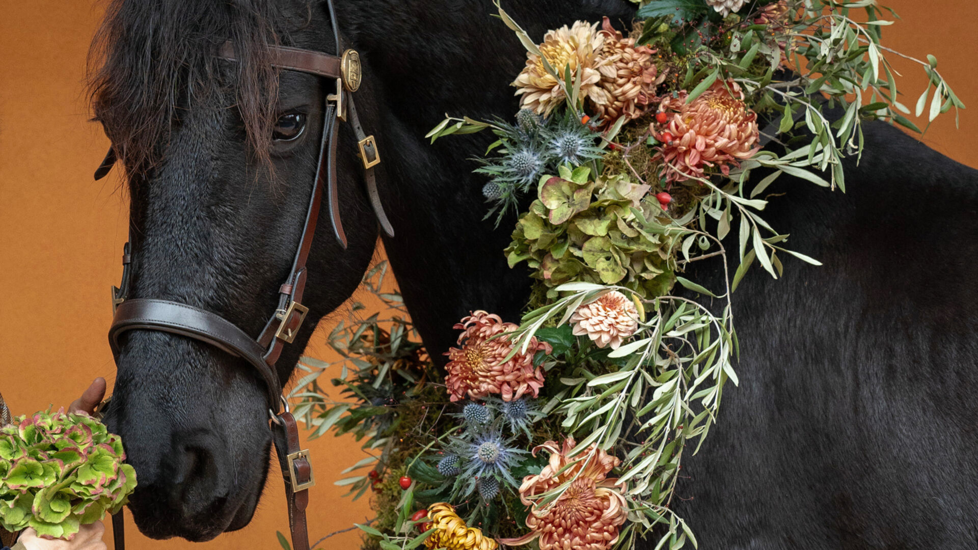 Twl february 2024 landing x2