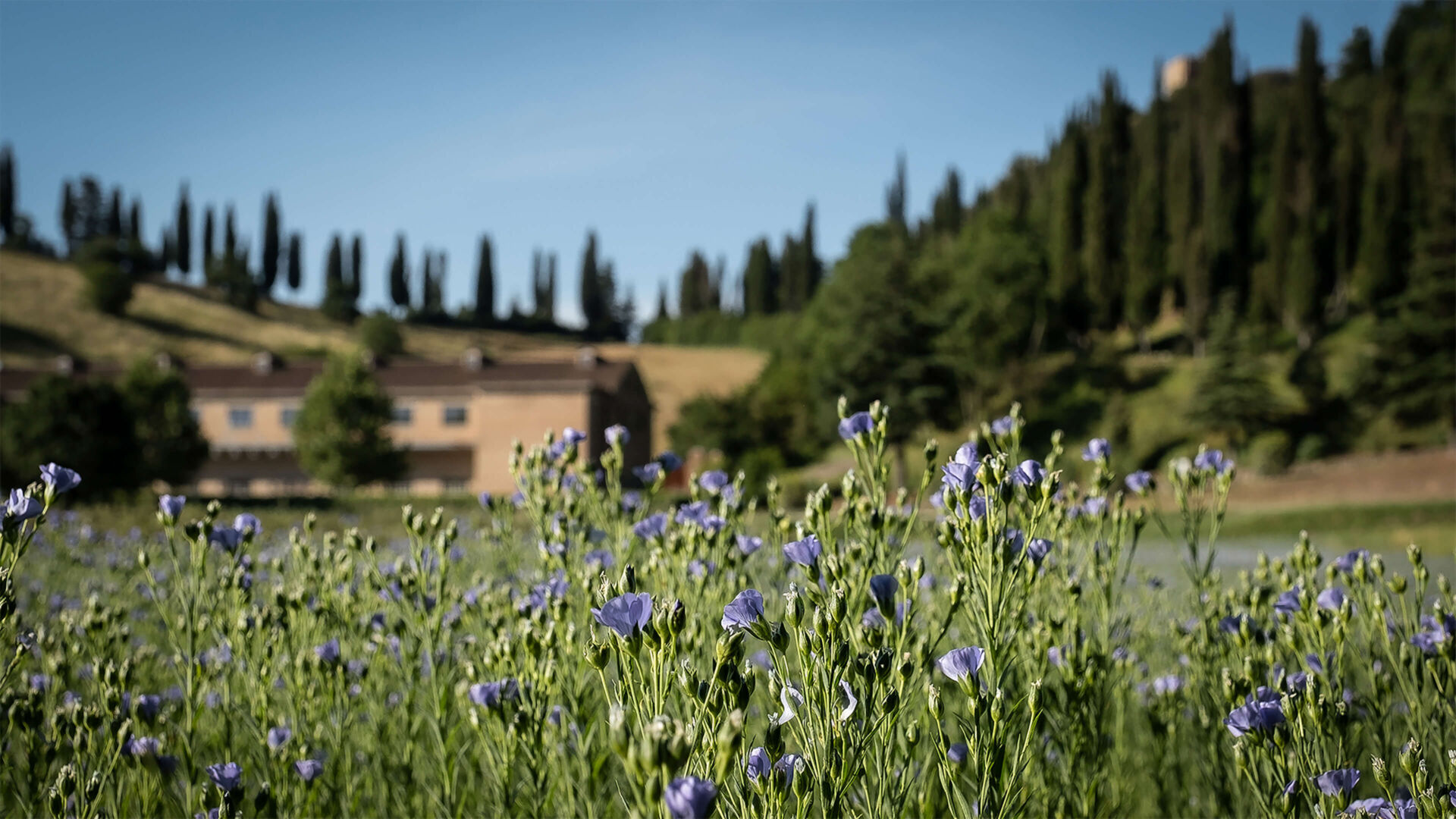 Twl june 2023 cover x2