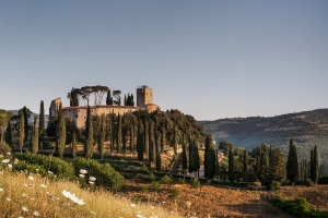 Bb harpers hideaway landing