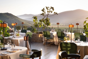 Landing VILE6561crop