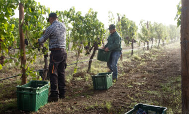 Spumante Landing 2025 04 18 110116 wcbu