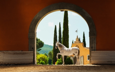 Copertina 1920x1080px TWL giugno 2025