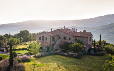 Offer Plan Ahead House Preview