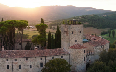 Offer Plan Ahead Preview