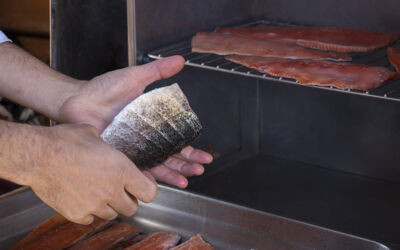 00 Foto vicino al testo 2025 03 31 074853 tgxr