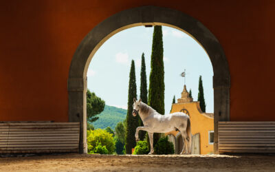 Copertina 1920x1080px TWL giugno 2025