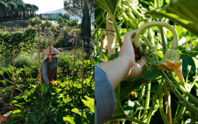 August 2020 landing x2