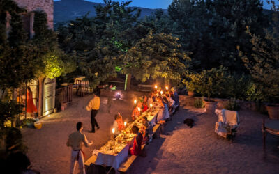 Card houses stay longer march