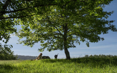 June 2021 cover x2 210531 073426