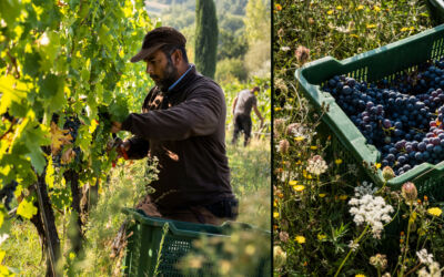 October 2020 landing x2