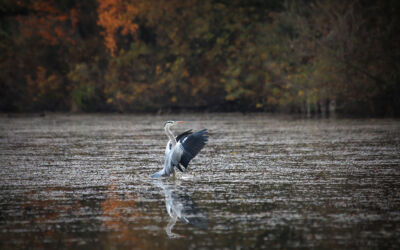 October 2022 landing x2