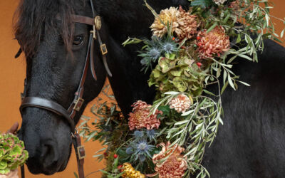 Twl february 2024 landing x2