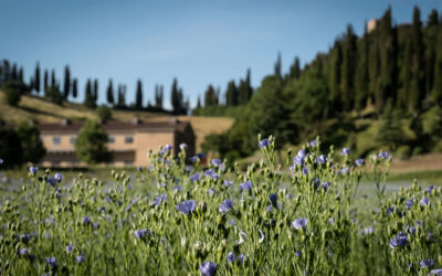 Twl june 2023 cover x2