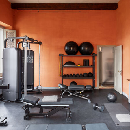 03 image text SMALL double media gym rev