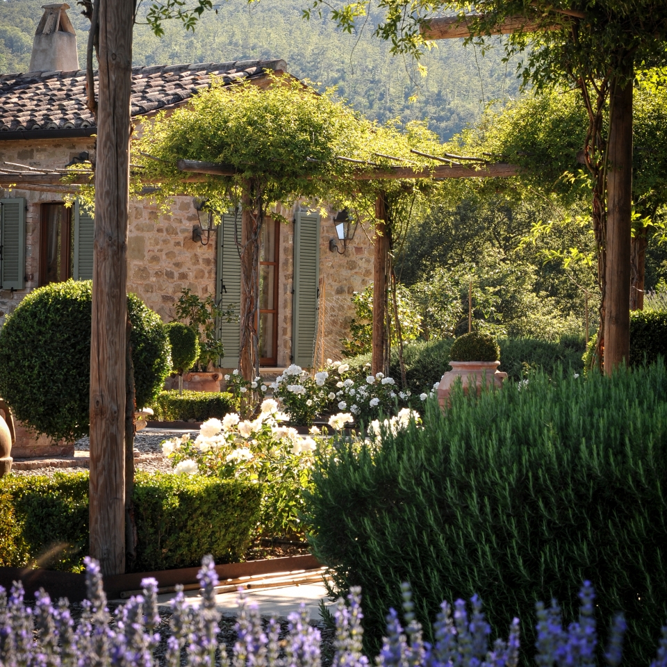 02 image double 50 50 piantaverna 2