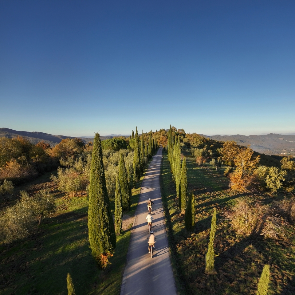 04 image double 50 50 sport 2