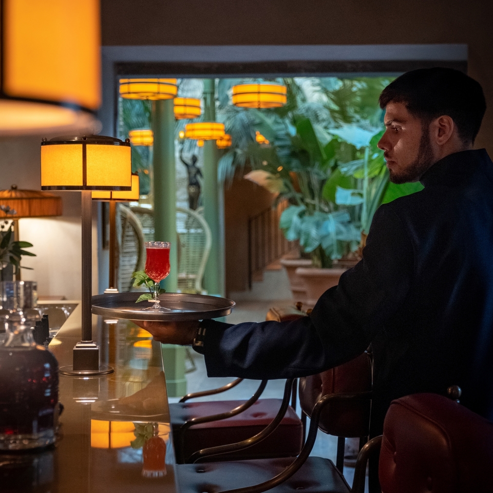 04 image palm 50 50 1