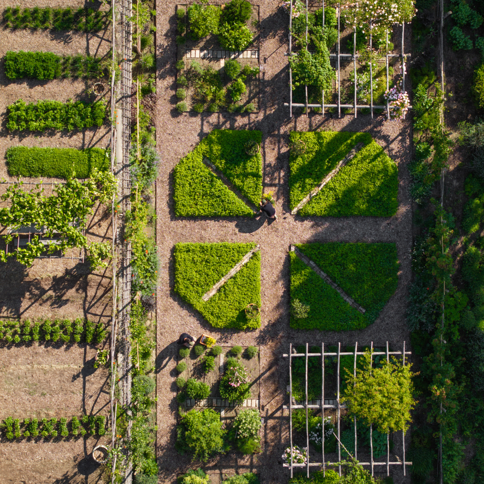 08 image double 50 50 orto 2