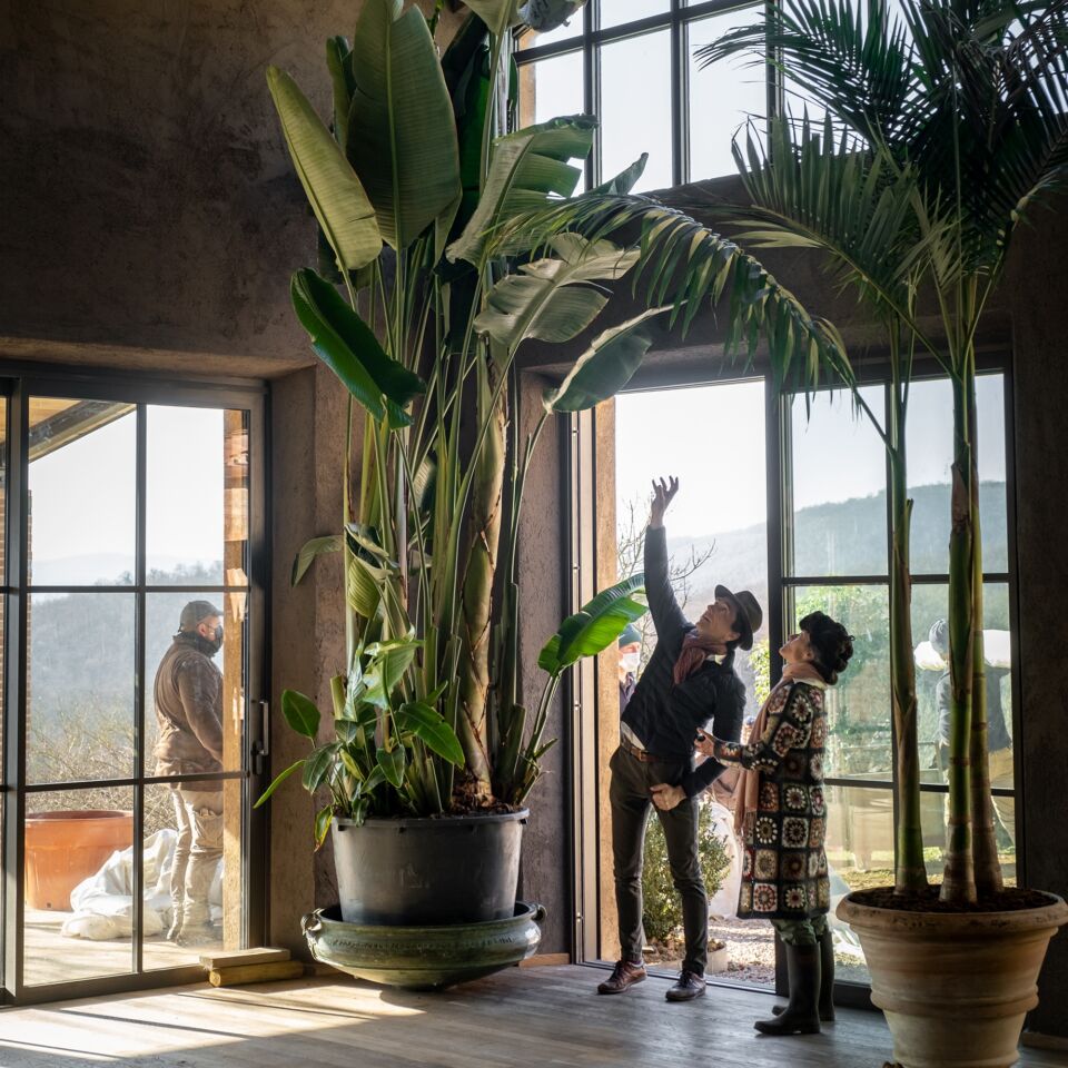 02 image 50 50 interior 1