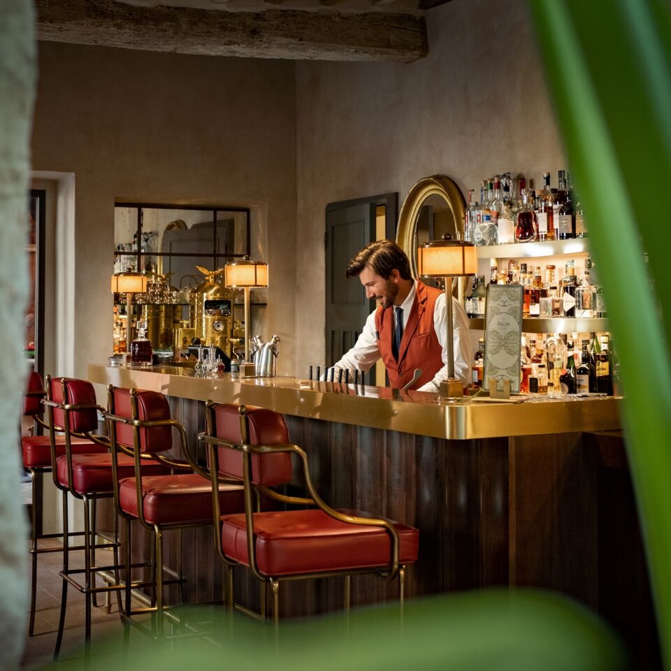 04 image palm 50 50 2