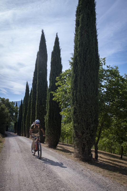 01 mountain biking gallery